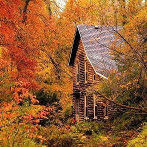 Cozy Cabin