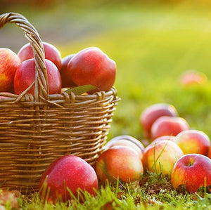 Apple Harvest