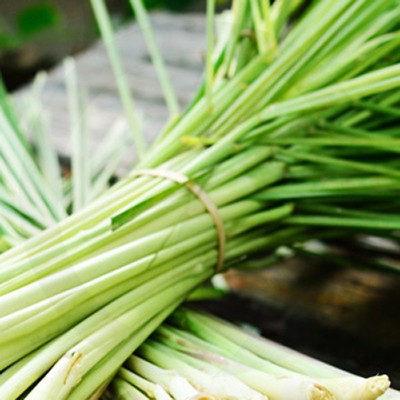 Lemongrass Citrus